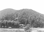 東物