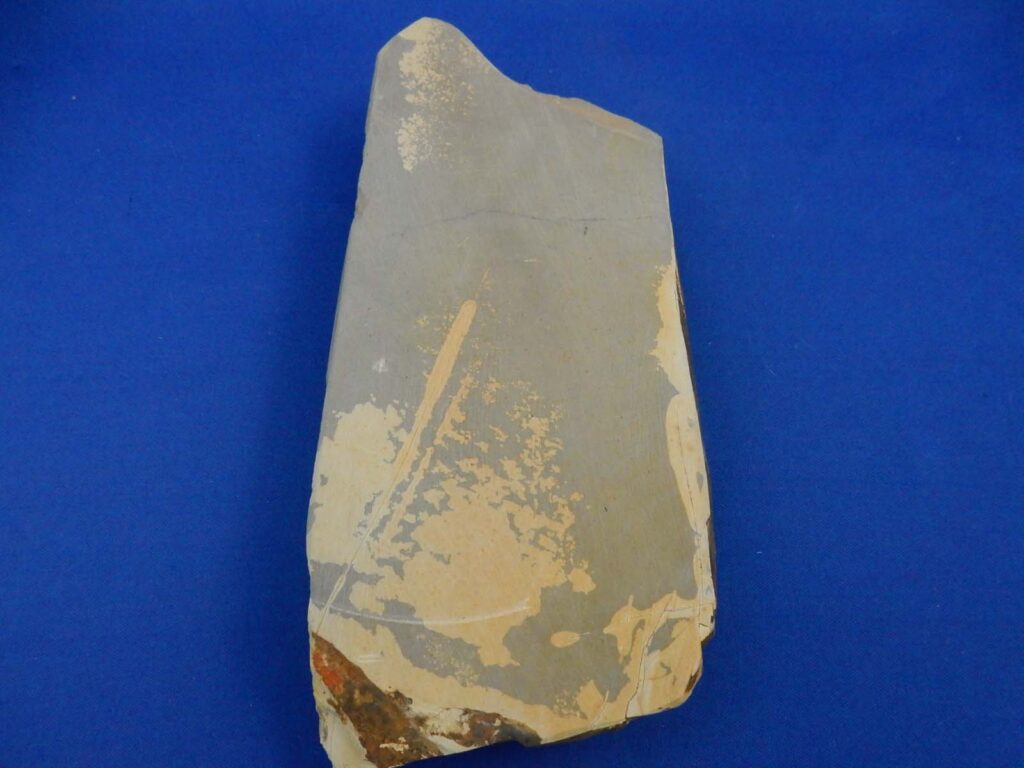 天上戸前色物