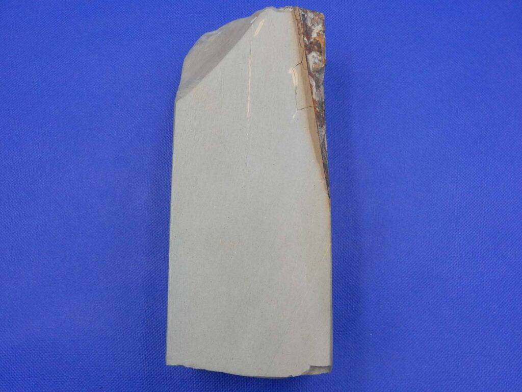 新大上
