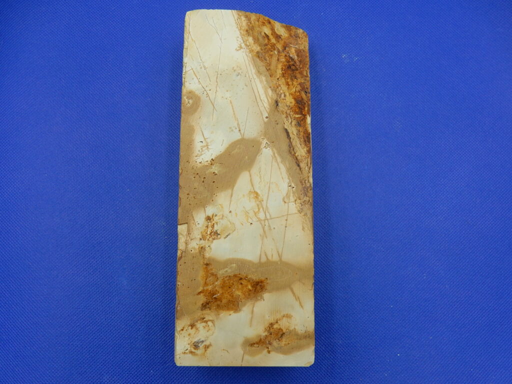 中山スイタ