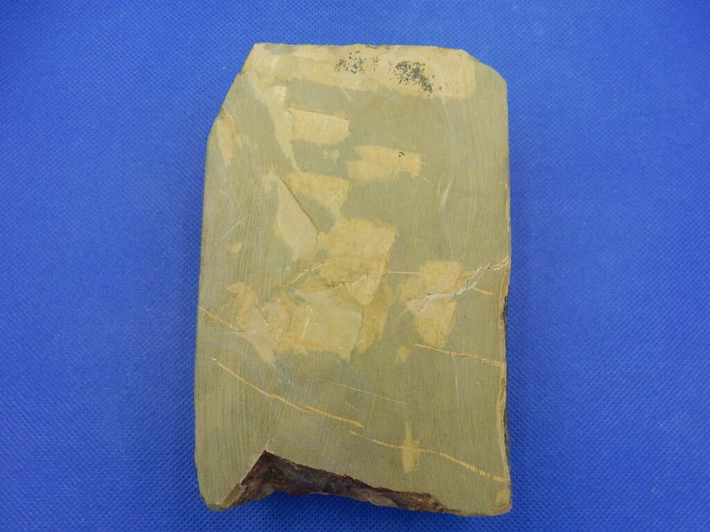 一本松戸前色物