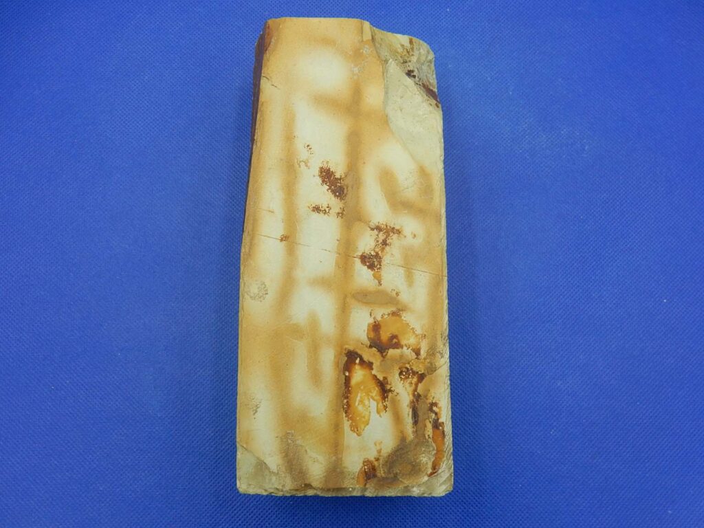 中山白浅黄