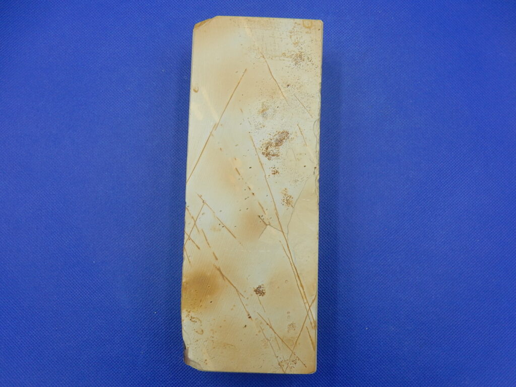 中山スイタ