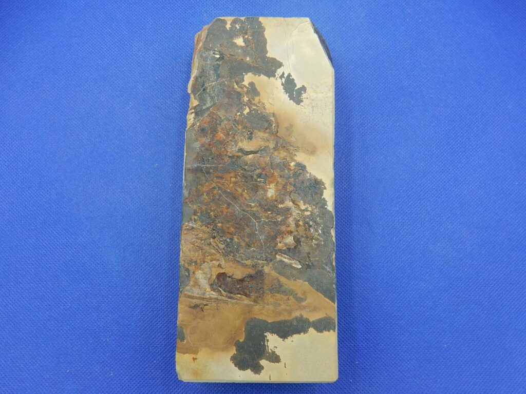 中山戸前
