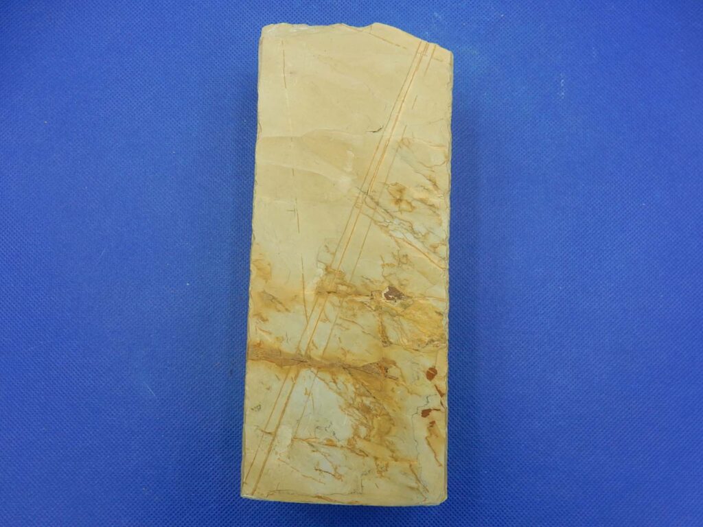 菖蒲谷紅葉スイタ