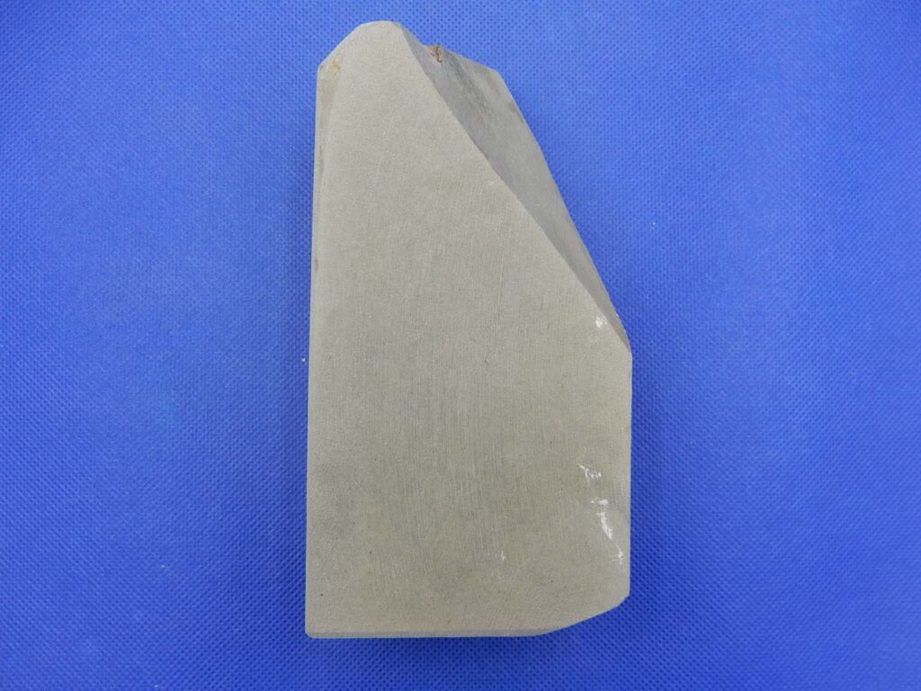 卵色巣板巣なし