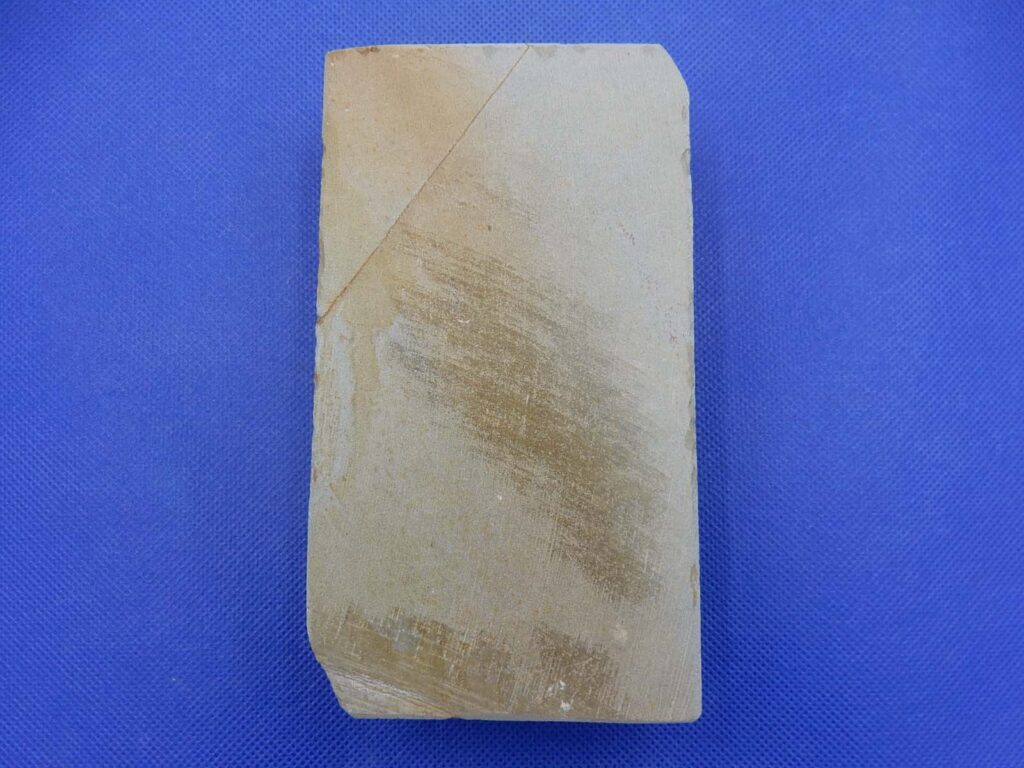 白巣板巣なし八枚風