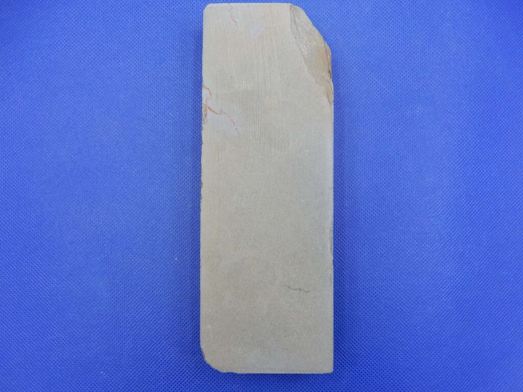 卵色巣板巣なし