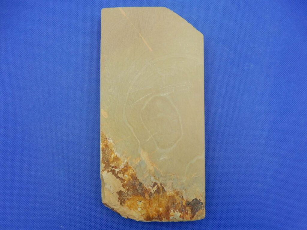 一本松戸前いきむらさき