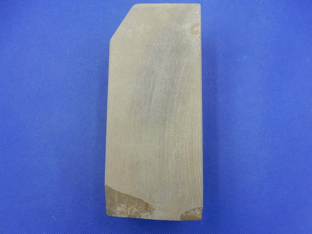 卵色巣板巣なし