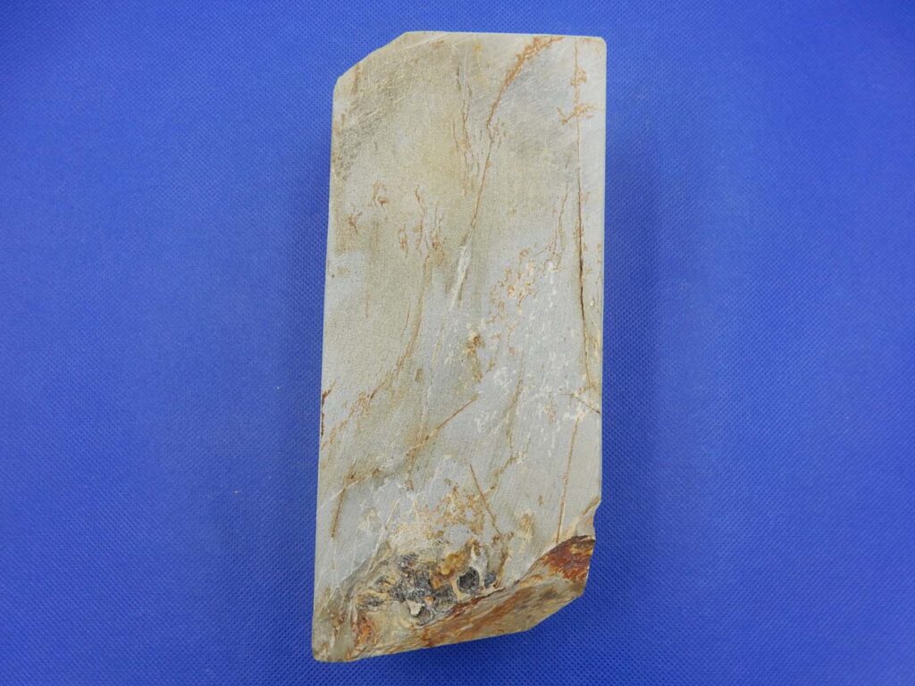 白巣板巣なし八枚風