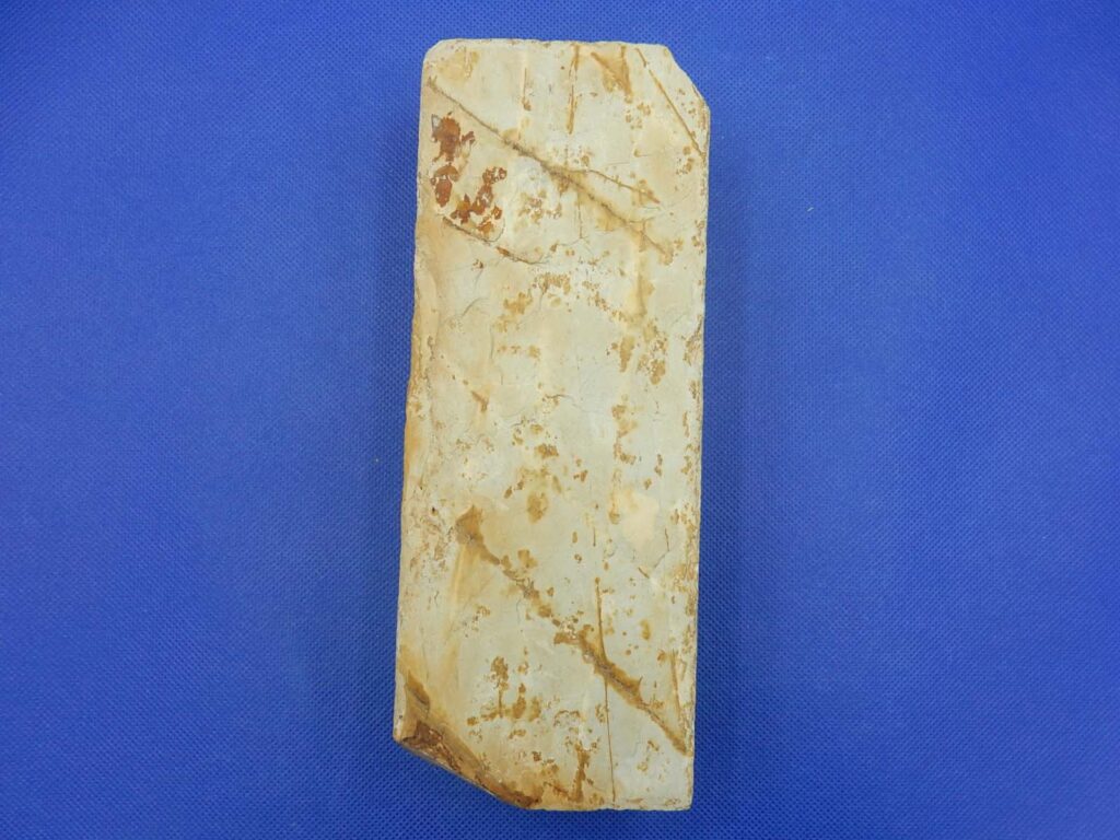 表山蓮華スイタ