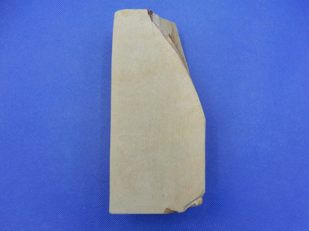 卵色巣板巣なし