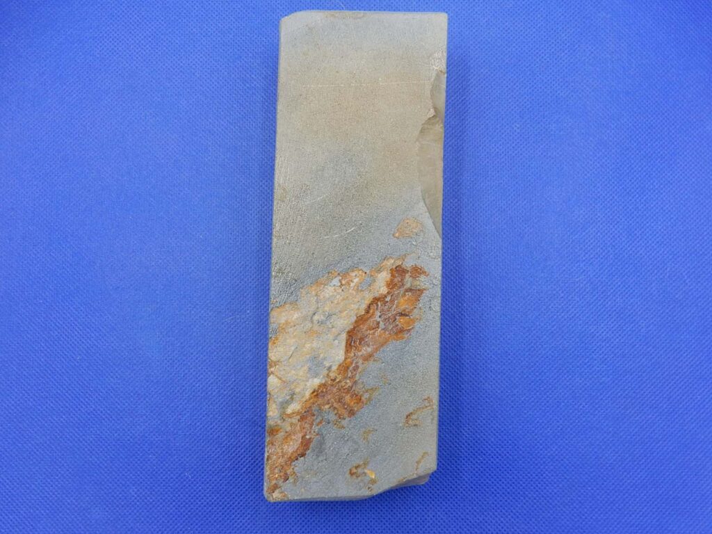 卵色巣板巣なし