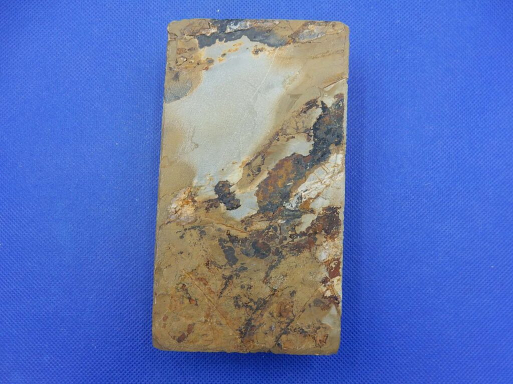 中山巣板ぎわ大上