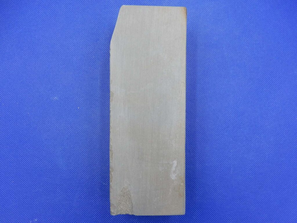 卵色巣板巣なし