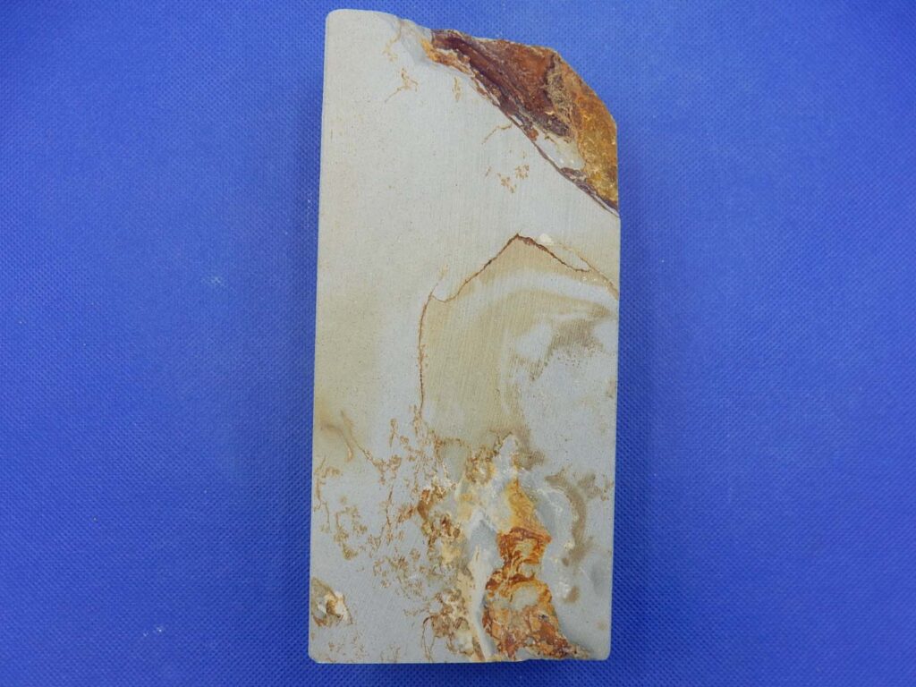 白巣板巣なし八枚風