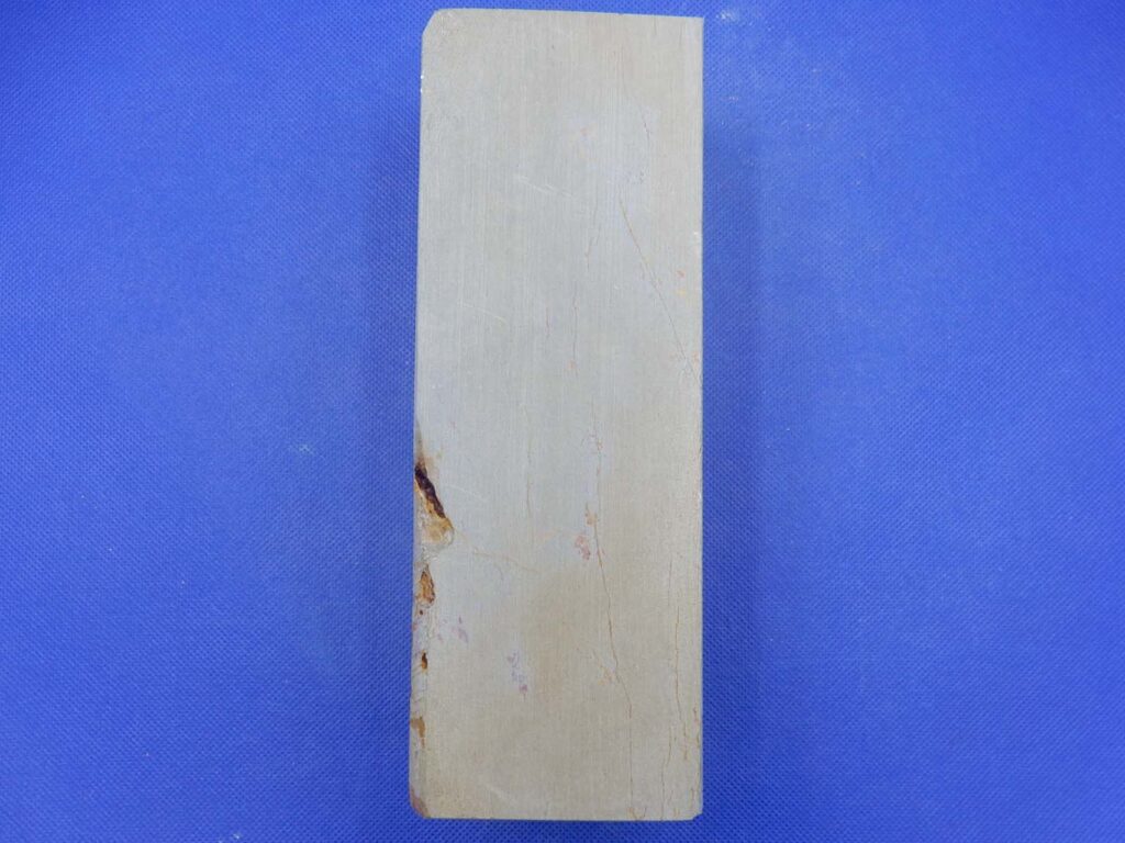 卵色巣板巣なし