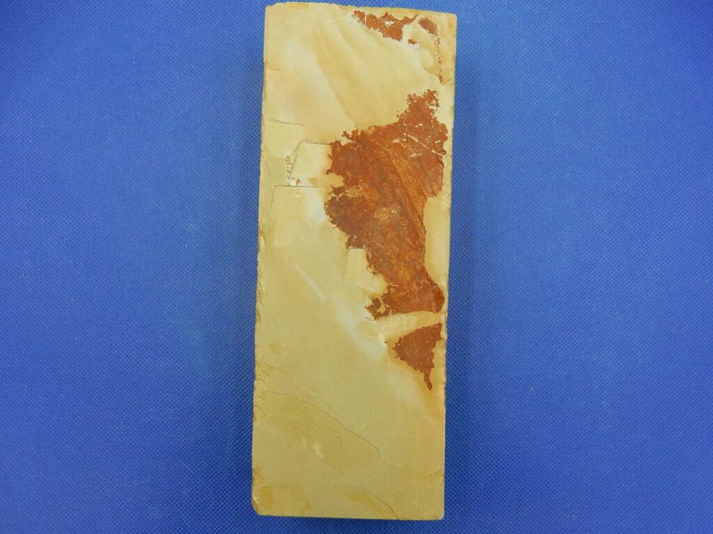 中山合さ